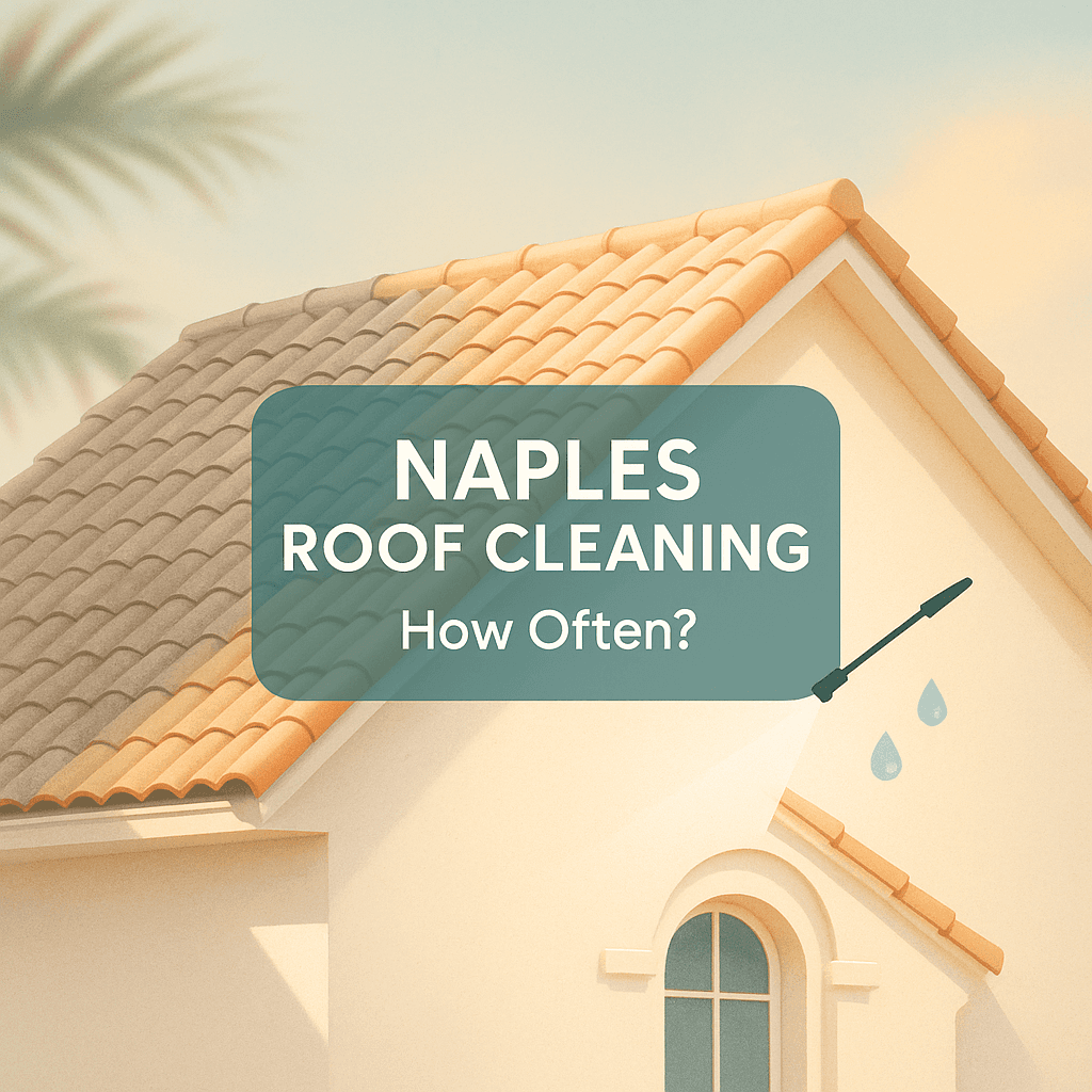 How Often Should Naples Roofs Be Cleaned?